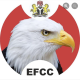 Court Dismisses EFCC's Appeal Against Kogi Suit
